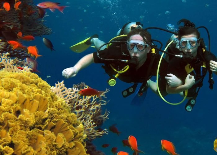 Plongee Depuis Charm El Cheikh Parc Naturel De Ras Mohammed